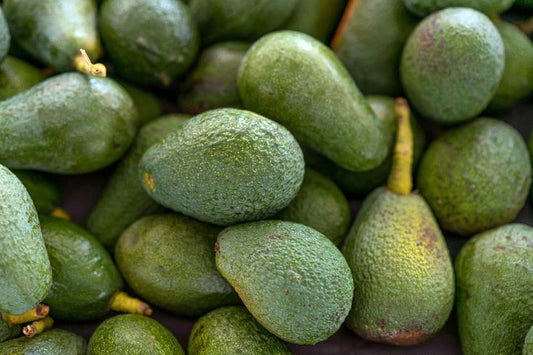 Avocados (Small)
