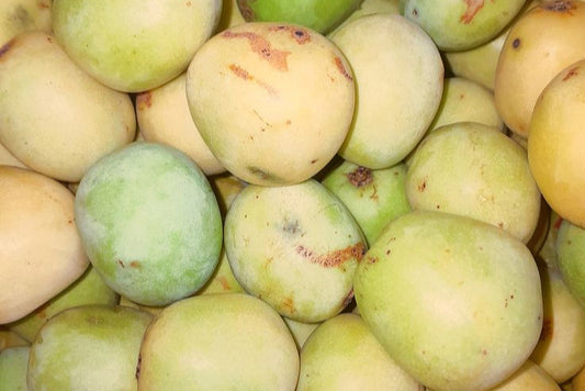Mafula - Marula